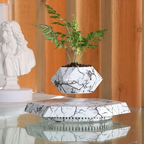 MOOCCI Floating Plant Pot, Levitating Plant Pot for Succulents by MOOCCI