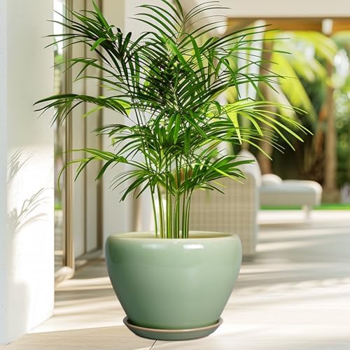 Ceramicfor Ceramic Planter Pot, 10 Inch Plant Pot, Reactive Green - Image 4
