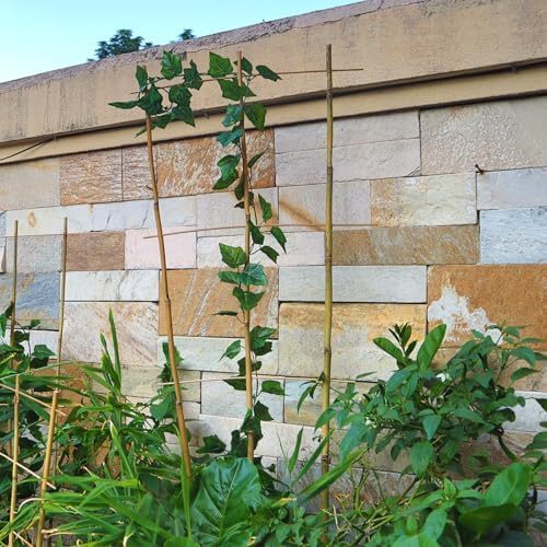 10 Pack 3ft Bamboo Trellis for Climbing Plants, Fan-Shaped Garden Support - Image 5