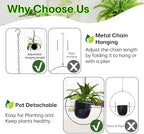 2 Pack Hanging Planter with 5.5" Pot, Metal Hanging Plant Holder - Image 4