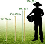 60Pcs Bamboo Stakes for Plant 4 Feet, Garden Bamboo Plant Stakes for Plants Support, Bamboo Sticks for Climbing Plants, Tomatoes, Sunflowers, Beans, Potted Plants, Trees - Image 6