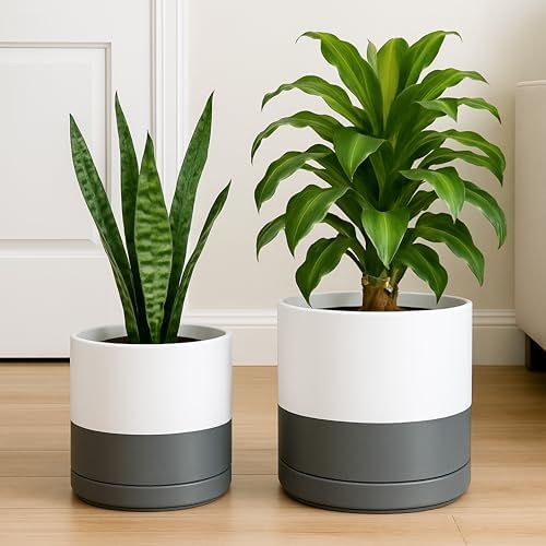 D'vine Dev 2-Pack Ceramic Pots with Saucers, 8/10 in, White/Grey, 94-G-L-6 - Image 6