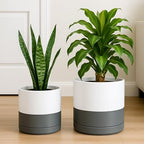 D'vine Dev 2-Pack Ceramic Pots with Saucers, 8/10 in, White/Grey, 94-G-L-6 - Image 6
