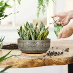 EPGardening 8 Inch Ceramic Succulent Planter Pots with Bamboo Saucer, Gray - Image 4