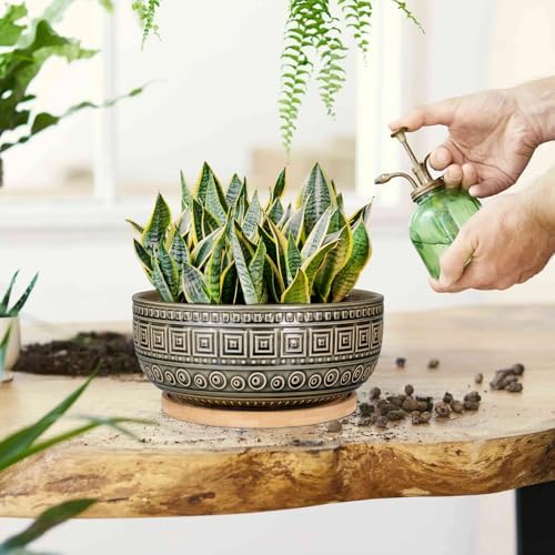 EPGardening 8 Inch Ceramic Succulent Planter Pots with Bamboo Saucer, Gray - Image 4