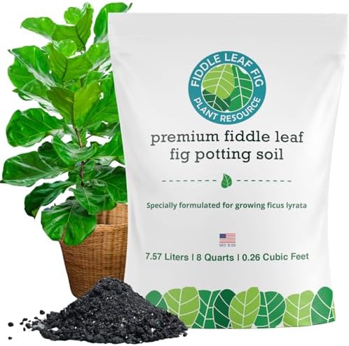 Fiddle Leaf Fig Propagation Bundle - Image 3