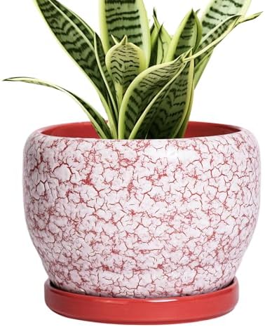 SQOWL 6 Inch Plant Pot - Ceramic Planter for Indoor Outdoor, Round Decorative Plant Pot with Drainage Hole and Saucer, Small Flower Planter, Home Balcony Decor, Gifts for Women Men, Red and White by SQOWL