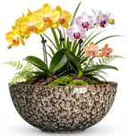 Bowl Planter, 8 Inch Ceramic Succulent Pots, White Leopard by Unknown