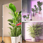 Grow Lights for Indoor Plants, 243 LEDs Plant Growing Lights with 3 Color Changing Red Blue Full Spectrum, 48inch Height Standing Indoor Plant Grow Lamp with 6/9/12H Timer for Indoor Plants - Image 5