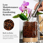 Pot & Pebble C3 Glass Orchid Pot, Wood Base - LECA Semi-Hydroponic Planter - Image 4
