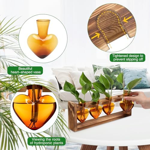 Plant Propagation Stations Heart Plant Terrarium Kit - Image 2