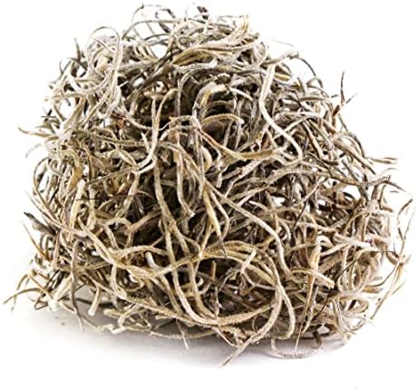 SuperMoss (26911) Spanish Moss Dried,Natural,8 Ounces,(Pack of 10) - Image 2
