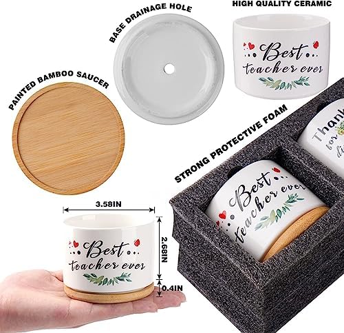 SAIWEILAI ONLINE 9 Pieces Teacher Appreciation Gifts Ceramic Succulent Plant Pot Small Flower Planter Funny Cute Succulent Plant Pot Planter Succulent Accessories for Teacher Christmas Birthday Gift - Image 2