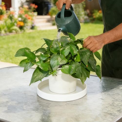 1 Pack 16 inch Plant Saucer Drip Tray, Heavy Sturdy Plastic Planter Flower Pot Drainage Tray Plate Saucers for Indoor Outdoor Garden, Plant Water Drip Trays for pots Base (16", Creamy White) - Image 3