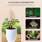 Treleaf Palmella Palm Leaf Inspired Wooden Trellis – Grande Size Indoor Plant Support for Climbing Plants – 24” Decorative Houseplant Trellis and Wooden Plant Stake for Potted Vines - Image 5