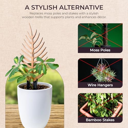 Treleaf Palmella Palm Leaf Inspired Wooden Trellis – Regular Size Indoor Plant Support for Climbing Plants – 12” Decorative Houseplant Trellis and Wooden Plant Stake for Potted Vines - Image 5