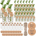 Baderke 48 Pack 3.54'' Plastic Plant Propagation Stations with Hole Lid by Baderke