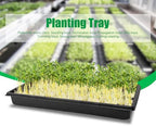 RooTrimmer 20 Pack 1020 Trays, No Drain Holes, 20" x 10", Extra Thick Heavy Duty Seed Starting Trays -Reusable Propagation Flats for Microgreens, Seedlings, Plant Germination, Fodder and Transplant - Image 5