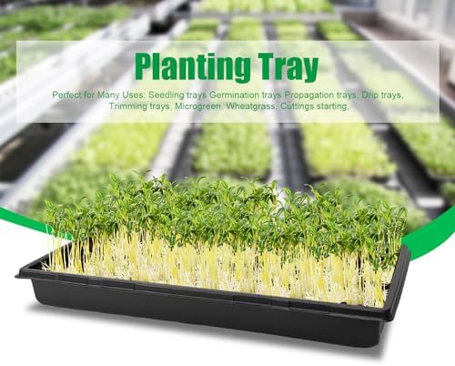 RooTrimmer 20 Pack 1020 Trays, No Drain Holes, 20" x 10", Extra Thick Heavy Duty Seed Starting Trays -Reusable Propagation Flats for Microgreens, Seedlings, Plant Germination, Fodder and Transplant - Image 5