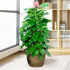 Large Flower Pot Thickened Plant Pot with Drainage Hole Retro Resin Lotus Planter for Indoor Outdoor Plants Home Gardening Flower Pots No Drainage Hole XL - Image 2