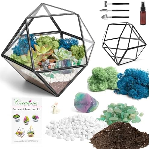 Creations by Nathalie DIY Geometric Glass Terrarium Kit with Moss and Tools - Image 2