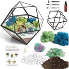 Creations by Nathalie DIY Geometric Glass Terrarium Kit with Moss and Tools - Image 2