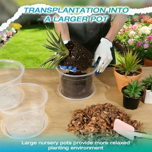 8/10/12 Inch Clear Nursery Pots with Drainage and Sacuers, 15 Pack Plastic Pots for Plants Indoor Outdoor, Variety Large Clear Pots for Flowers, Succulents (8/10/12inx5pcs) - Image 5