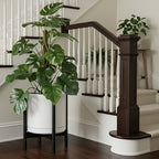 D'vine Dev Ceramic Pot with Ebony Wood Stand, White, 14 in, 55-B-S-1 - Image 4