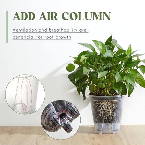 Wonderjune Self Watering Planter, 4.72'', 5.91'', 7.09'', Clear, 12 Pcs - Image 4