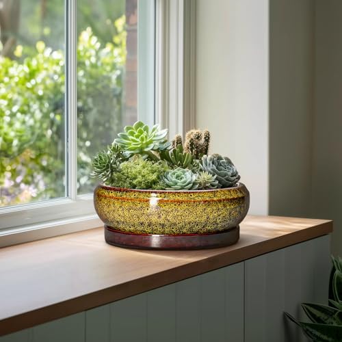 Succulent Pots Large - 13 Inch Ceramic Bonsai Pot with Drainage Hole and Tray, Round Succulent Planters, Shallow Plant Pots Indoor, Bowl Planter Outdoor, Garden Decor, Gardening Gift, Yellow - Image 3