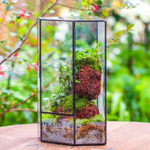 NCYP Wall Corner Geometric Glass Terrarium for Moss, Small Plants - Image 6
