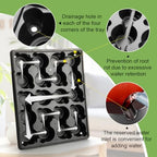 RooTrimmer 3.15 Inch Peat Pots 200 Pcs with 10 Pack 20 Cell Seed Starter Trays, Biodegradable Nursery Pots with Drainage Holes, Reusable Seedling Trays for Vegetable Flower Germination Indoor Outdoor - Image 4