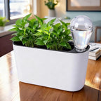 Self Watering Pots for Indoor Plants,12.5’’ Oval Planter with Lantern Type Water Storage Tank Level Indicators for Plants & Flower Outdoor Pothos Herb pots, Window Box (2 Set, White) - Image 6