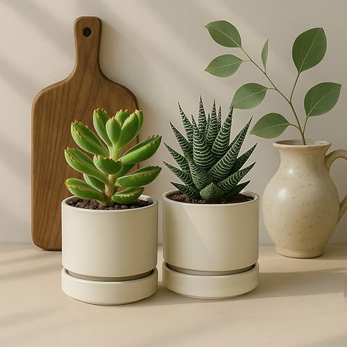 Phoenix Vine 4 Inch Planter Pot with Drainage Hole & Saucer, Deep Water Catch Tray, Straight Cylindrical Round Pot for Plants, Oatmeal, Pack of 4, 23-E-R-4 - Image 6