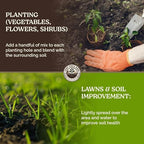 Organic Potting Soil Supplement Mix for Plants, 10 lb - Image 6