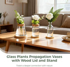 6PCS Plant Propagation Station, Desktop Plant Propagation Jars with Wood Lid and Stand, Glass Propagation Vases for Plant Growing, Hydroponic Home, Office Decor (6 Styles) - Image 2