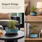 6" Ceramic Succulent Pots, Planters with Drainage Holes, 3 Pack - Image 3