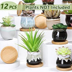 Remerry 12 Pcs Ceramic Succulent Pots 2.5 Inch with Drainage Bamboo Tray - Image 4