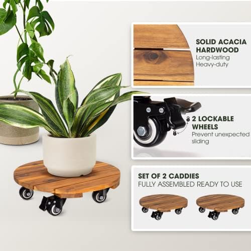 IDZO 2pack 12inches Wood Plant Caddy with Wheels Heavy Duty, 264 Lbs Capacity, Acacia Hardwood Plant Dolly, Plant Stand with 360° Lockable Wheels for Plant Pots, Heavy Objects Hauling - Natural Wood - Image 2