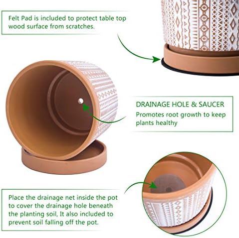 D'vine Dev Set of 2 Terracotta Pots, 4 Inch & 6 Inch, Planter Pots for Plants with Drainage Holes and Saucers, Terracotta/White, Small, 31-958-A-1 - Image 5
