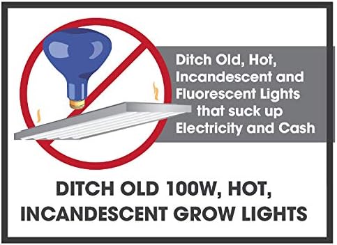Miracle LED Almost Free Energy 100W Spectrum Grow Lite - Daylight White Full Spectrum LED Indoor Plant Growing Light Bulb for DIY Horticulture, Hydroponics, and Indoor Gardens (604301) 2Pack - Image 3