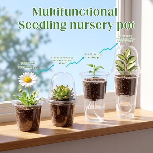 30 Pack 3.5" Self Watering Propagation Pots Clear, Plain Cup - Image 2