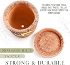 STP GOODS Ceramic Pot with Drainage Hole and Saucer, Plant Pots, Modern Decorative Planters for House Plants Indoor Flowers Plants, Cute Flower Pot - Gifts (Frogs in Moonlight (0.7 L)) - Image 7
