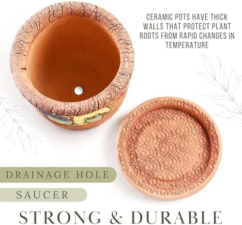 STP GOODS Ceramic Pot with Drainage Hole and Saucer, Plant Pots, Modern Decorative Planters for House Plants Indoor Flowers Plants, Cute Flower Pot - Gifts (Frogs in Moonlight (0.7 L)) - Image 7