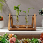 4pcs Plant Propagation Tubes Glass Test Tube Vase Replacement Clear Hydroponic Flower Vase for Home Office Wall Decor Desktop Decorations (Without Stand) (11.00X3.50X2.80CM) - Image 5