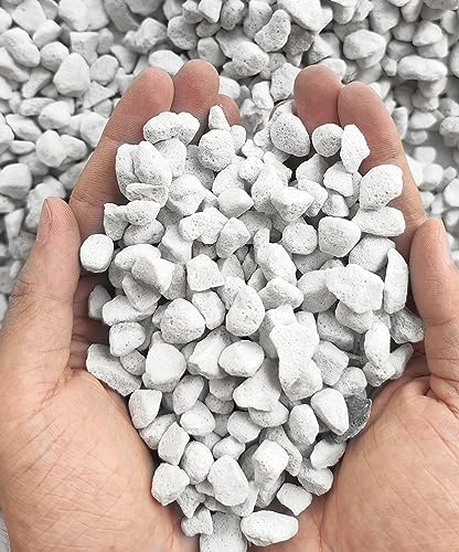 25QT Organic Perlite Horticultural Soil Amendment for Plants and Enhanced Drainage Enhanced by Voulosimi