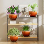 8 Inch Plant Pots, Glazed Plastic Indoor Planters with Drainage, 4 Pack - Image 7
