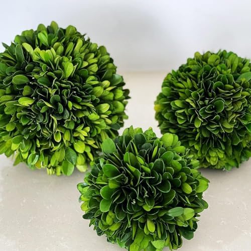 Decorative Boxwood Balls for Bowls and Decorative Balls for Centerpiece Bowl Fillers Vase Fillers Home, Kitchen, Living Room Decor (6 inch) - Image 3