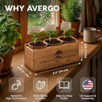 Bonsai Tree Kit Classic - Growing 3 Unique Japanese Bonzai Trees - Image 2