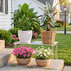 RattanView 16 Inch Acrylic Risers Display Stands 4-leg Plant Stand - Image 3